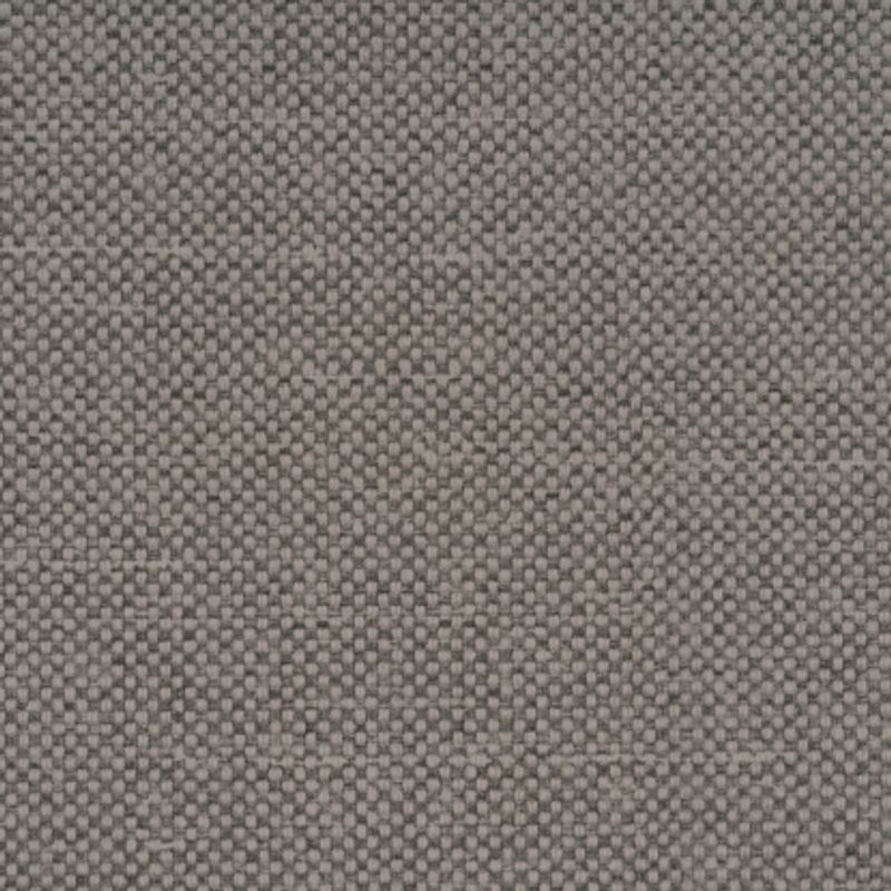 Maglia